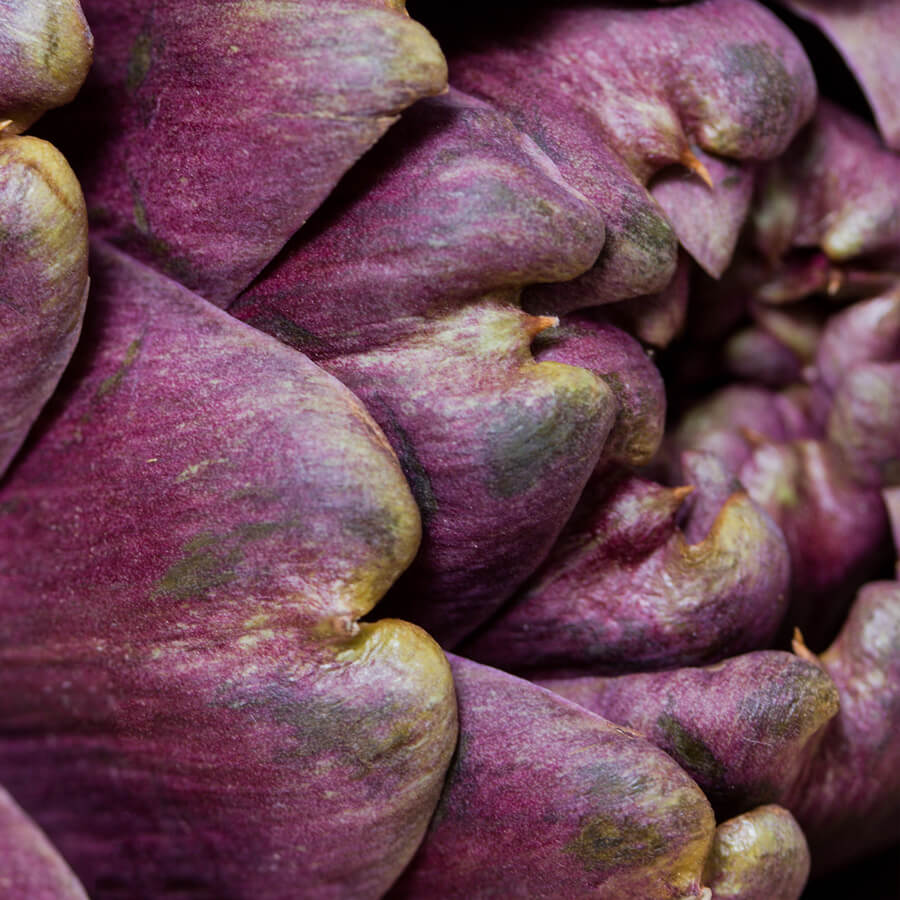 Stoffwechsel Booster Wirkung