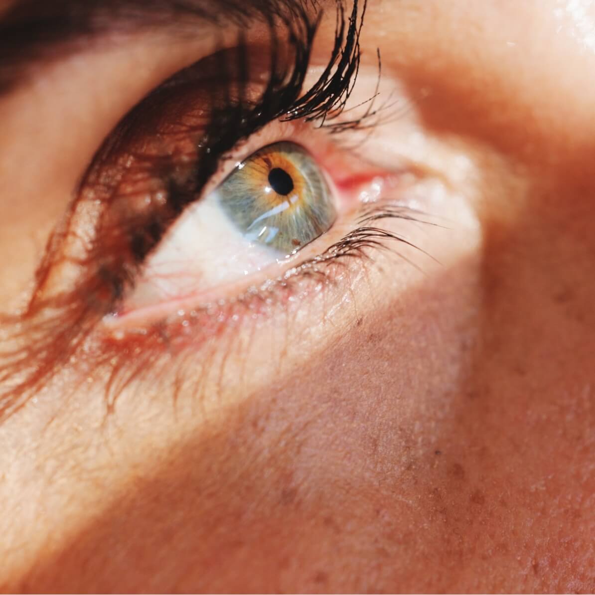 Astaxanthin Wirkung